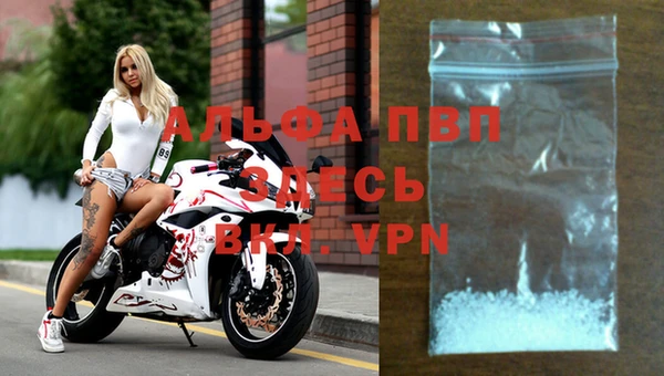 ешки Володарск